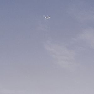 Meet your Posher, Melody